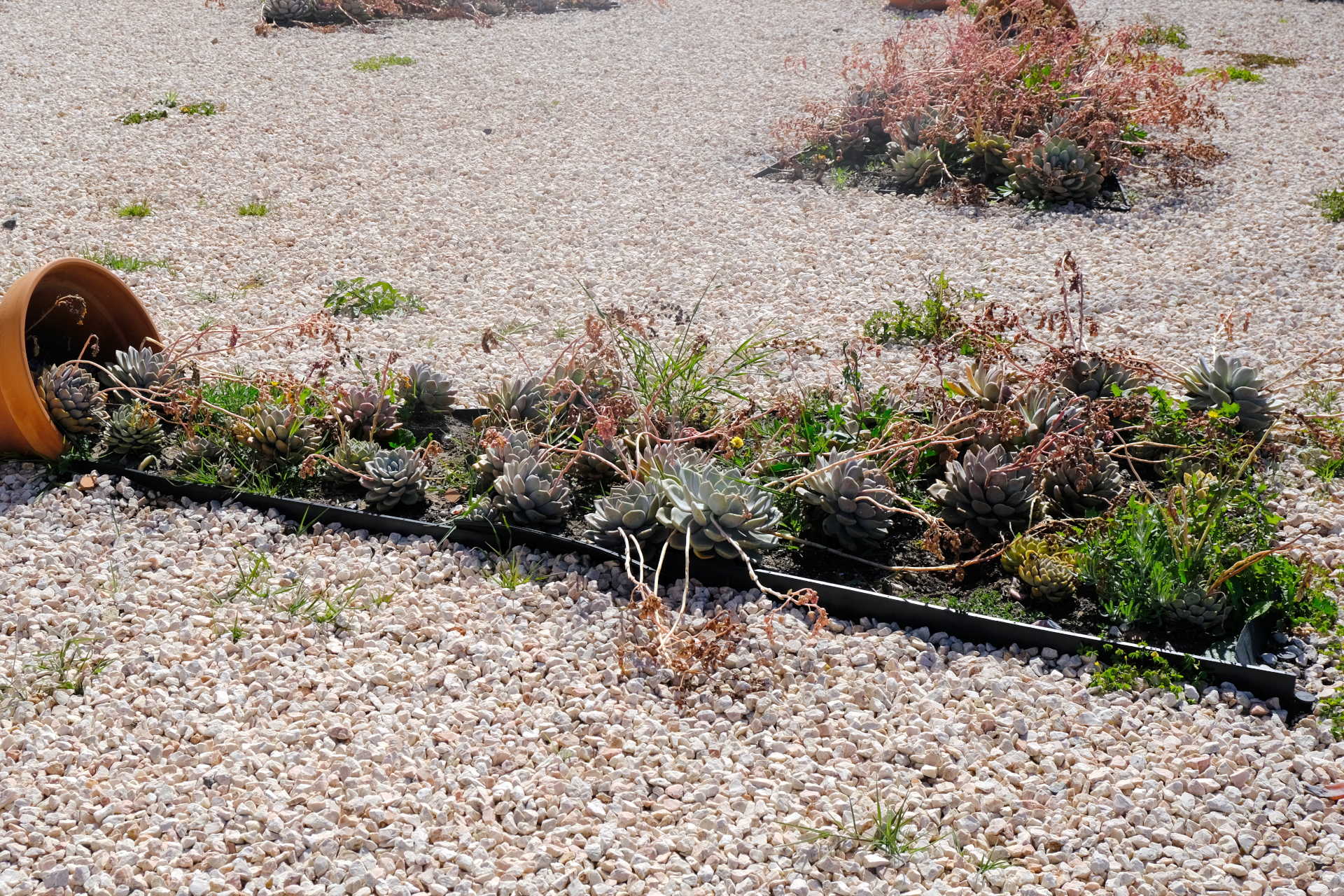 DSCF2841b_edit_crop_scale_50