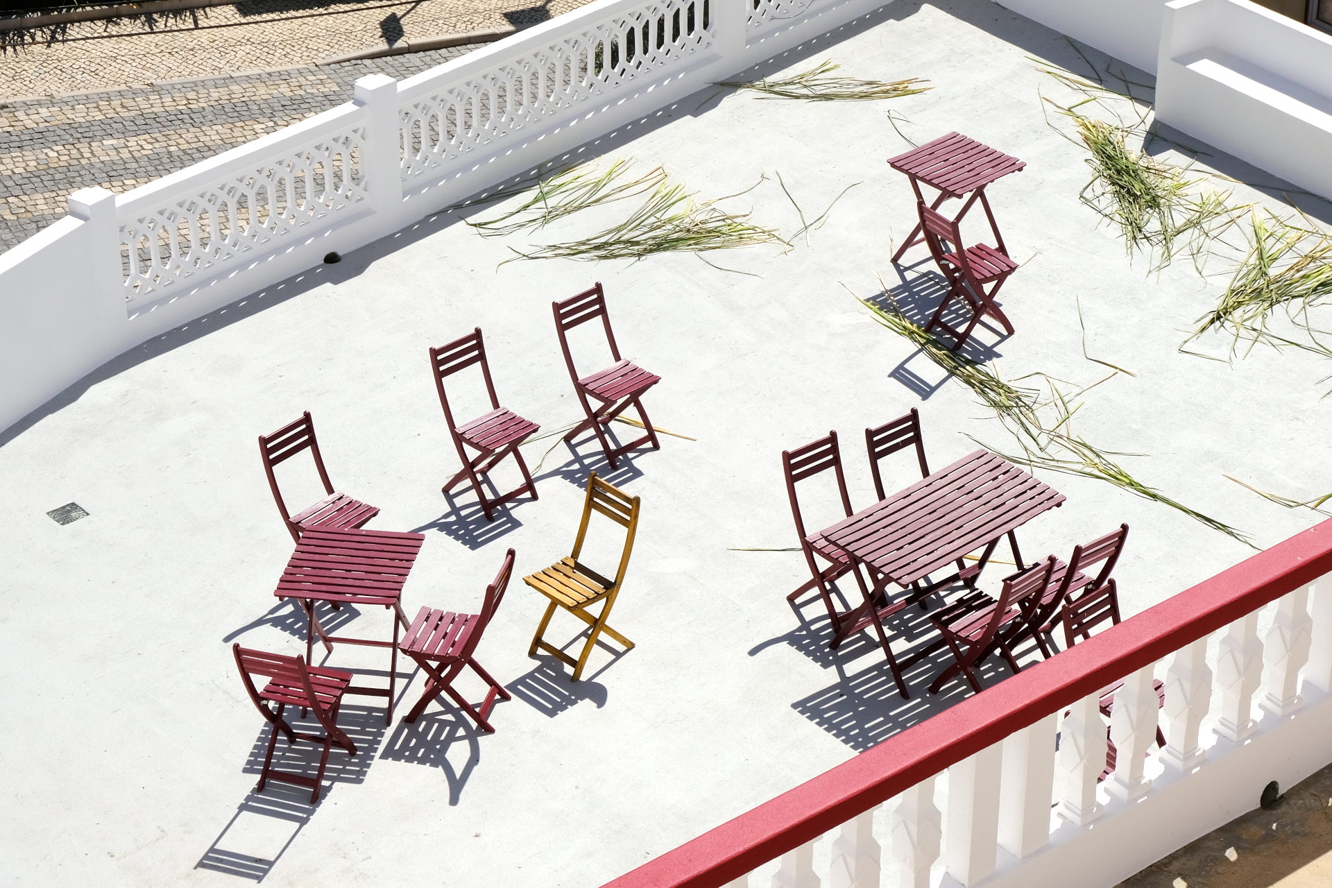 DSCF2901_edit_crop_scale_82