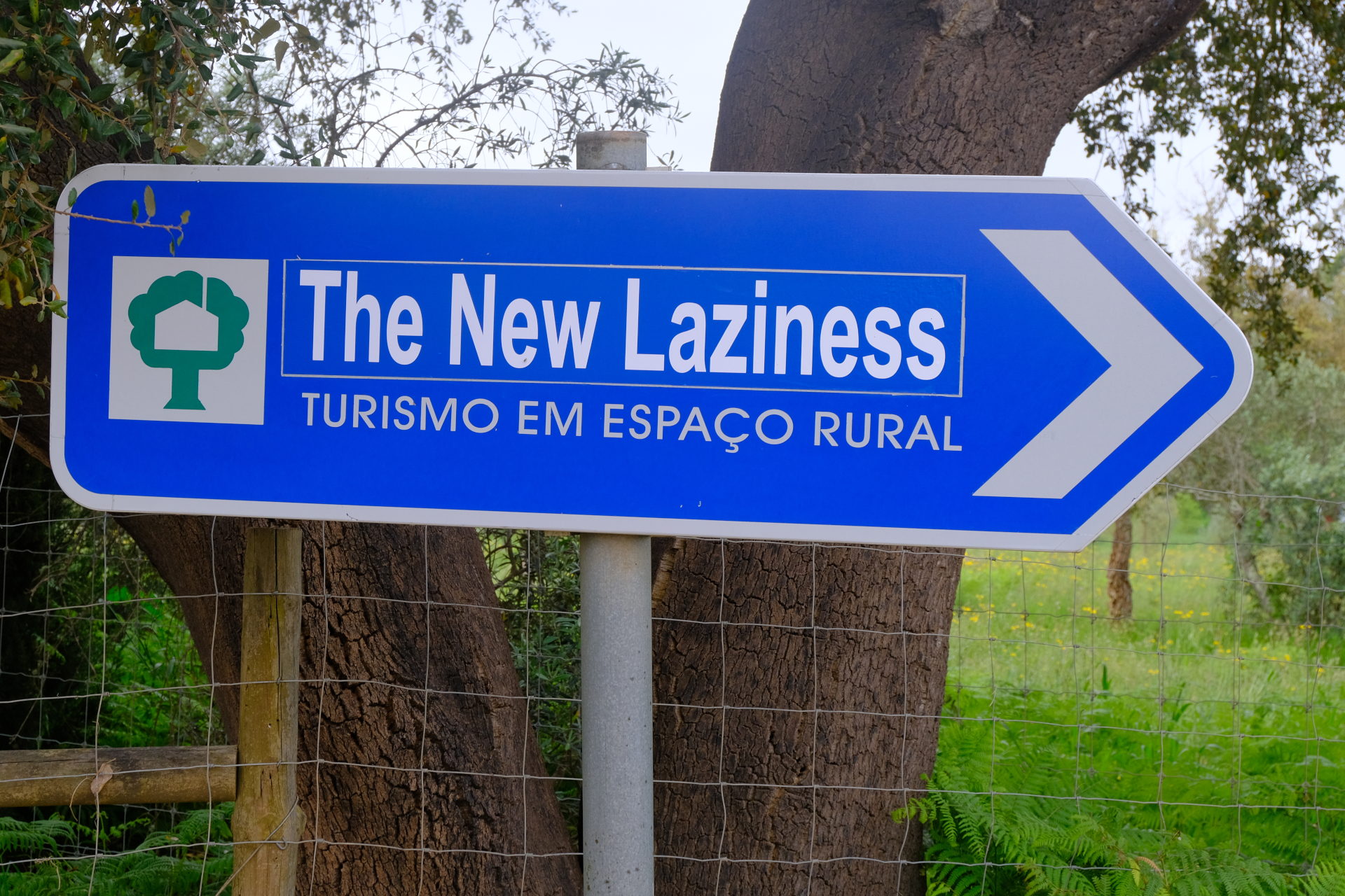 DSCF3095_crop_scale_82