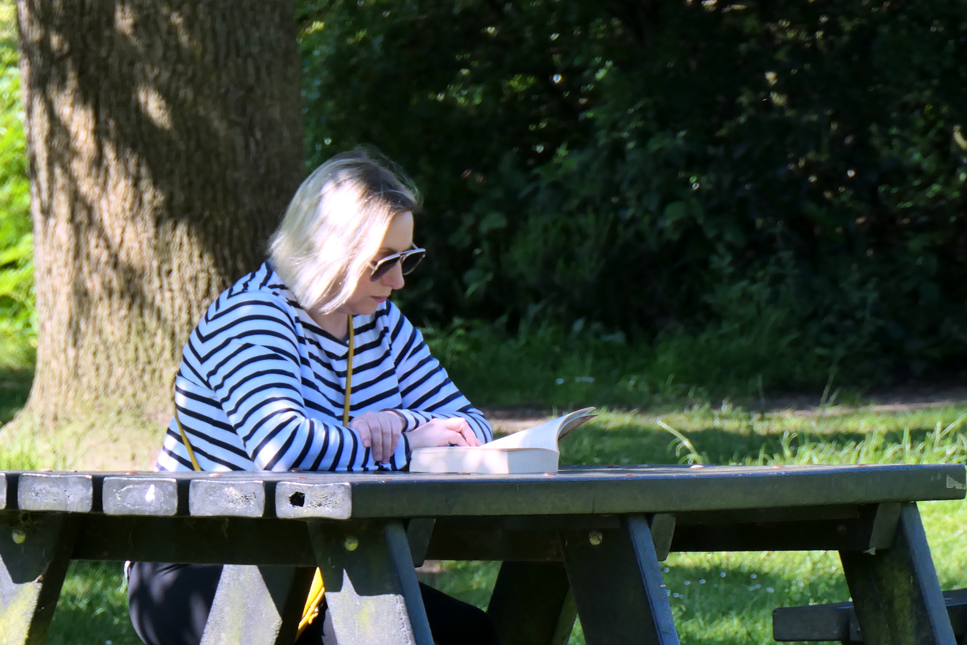 P1000260_edit_crop_scale2_90