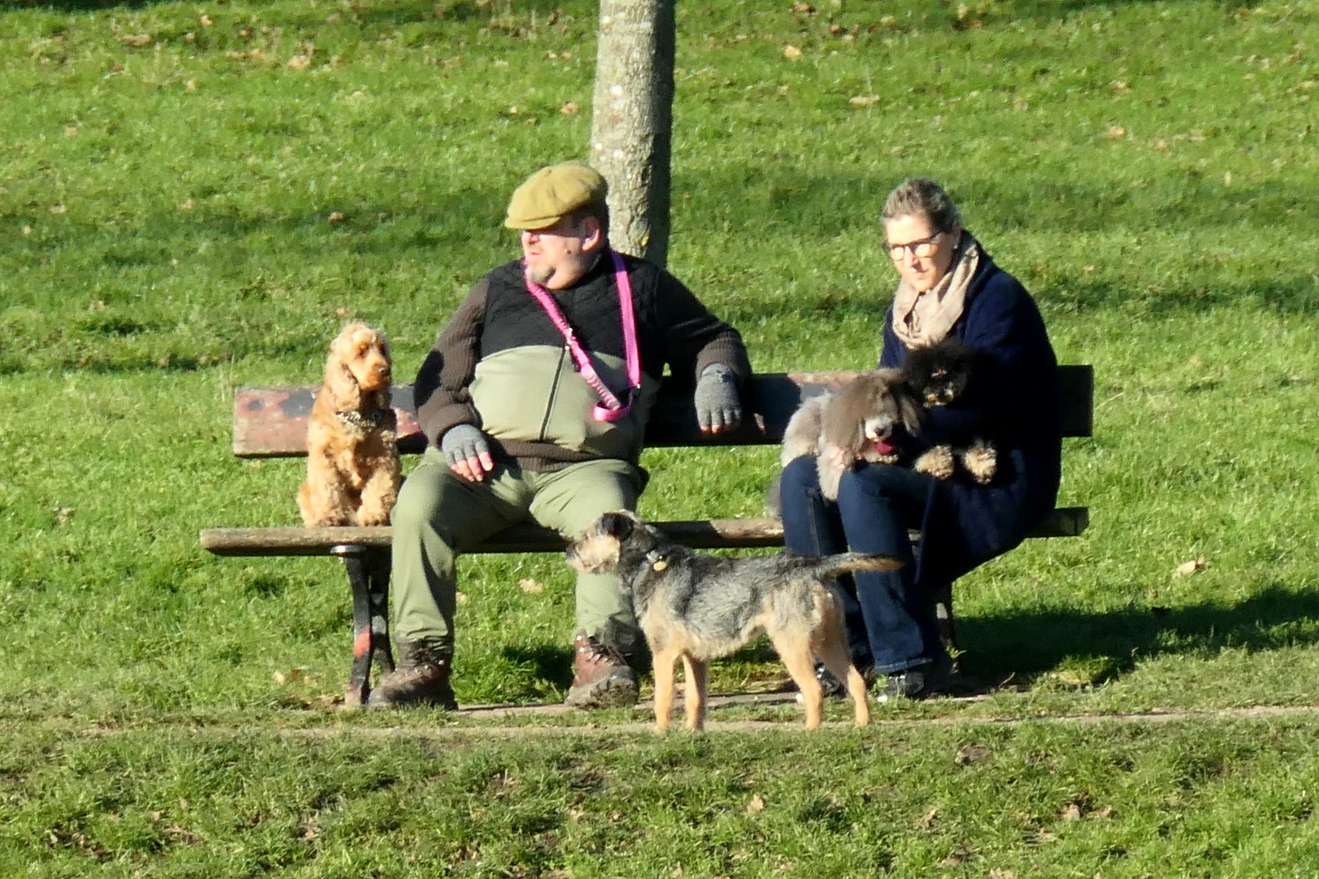 P1045493_edit_crop_scale_81