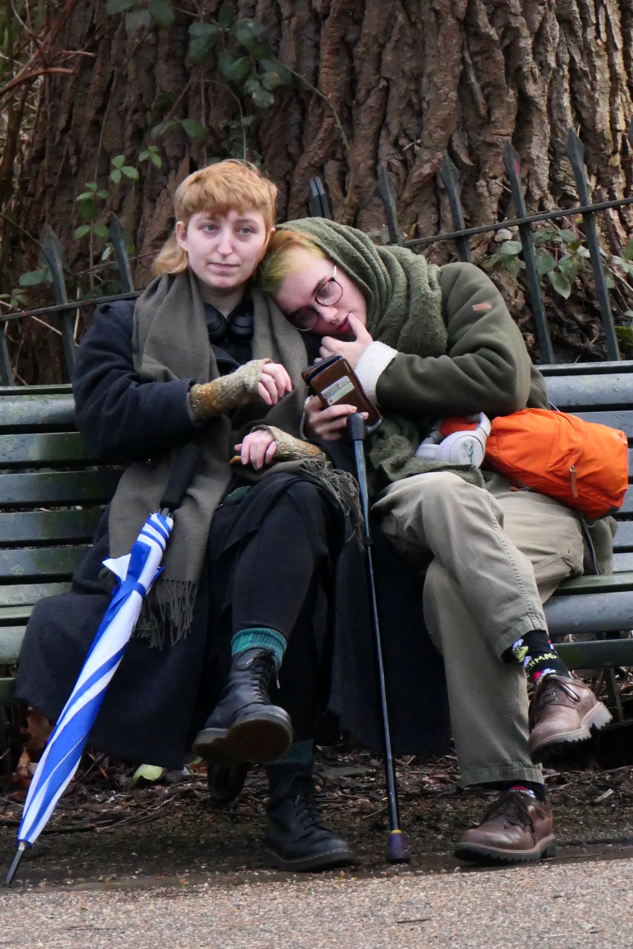 P1045572_edit_cropvert_scale_85