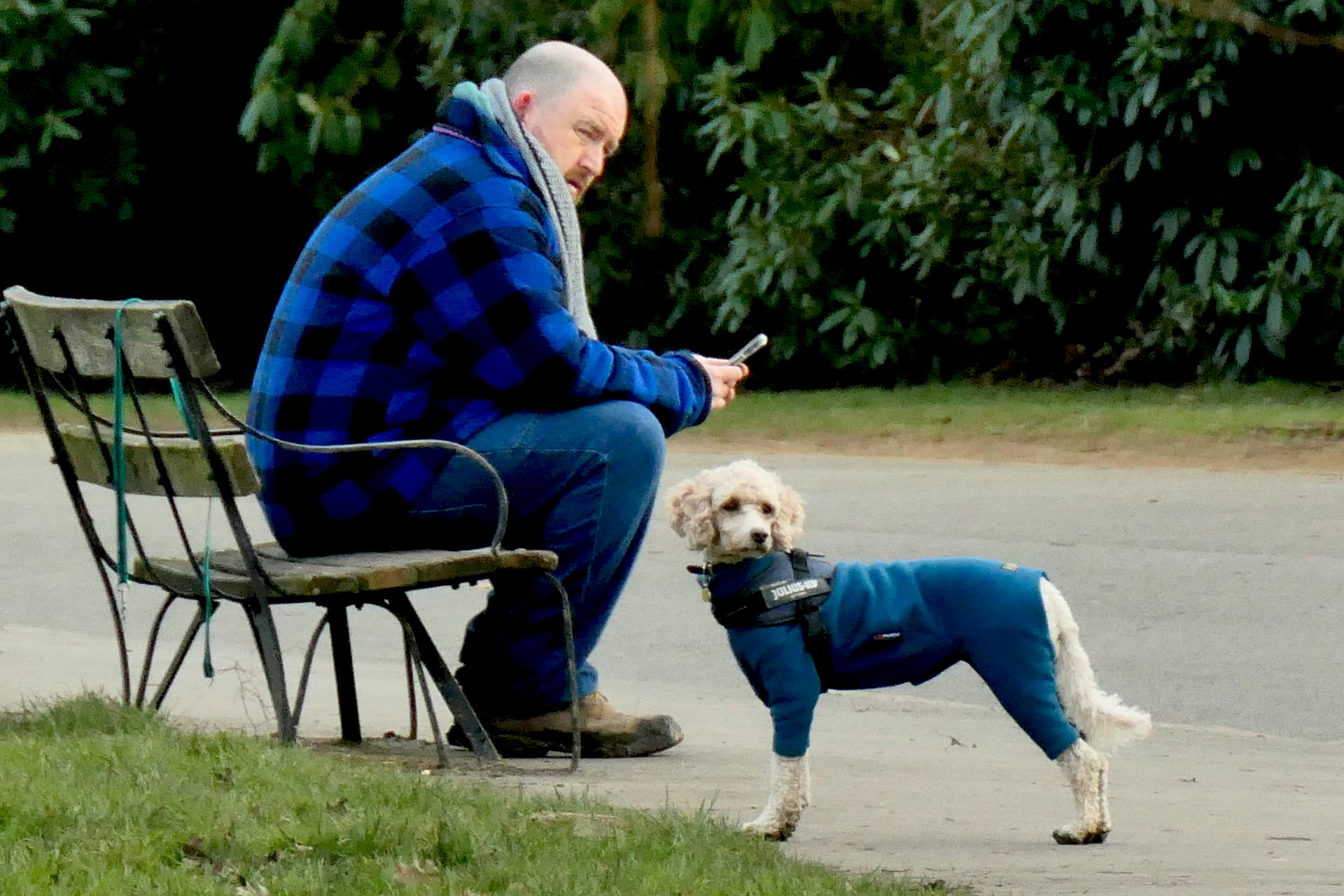 P1045618b_crop_edit_scale_88