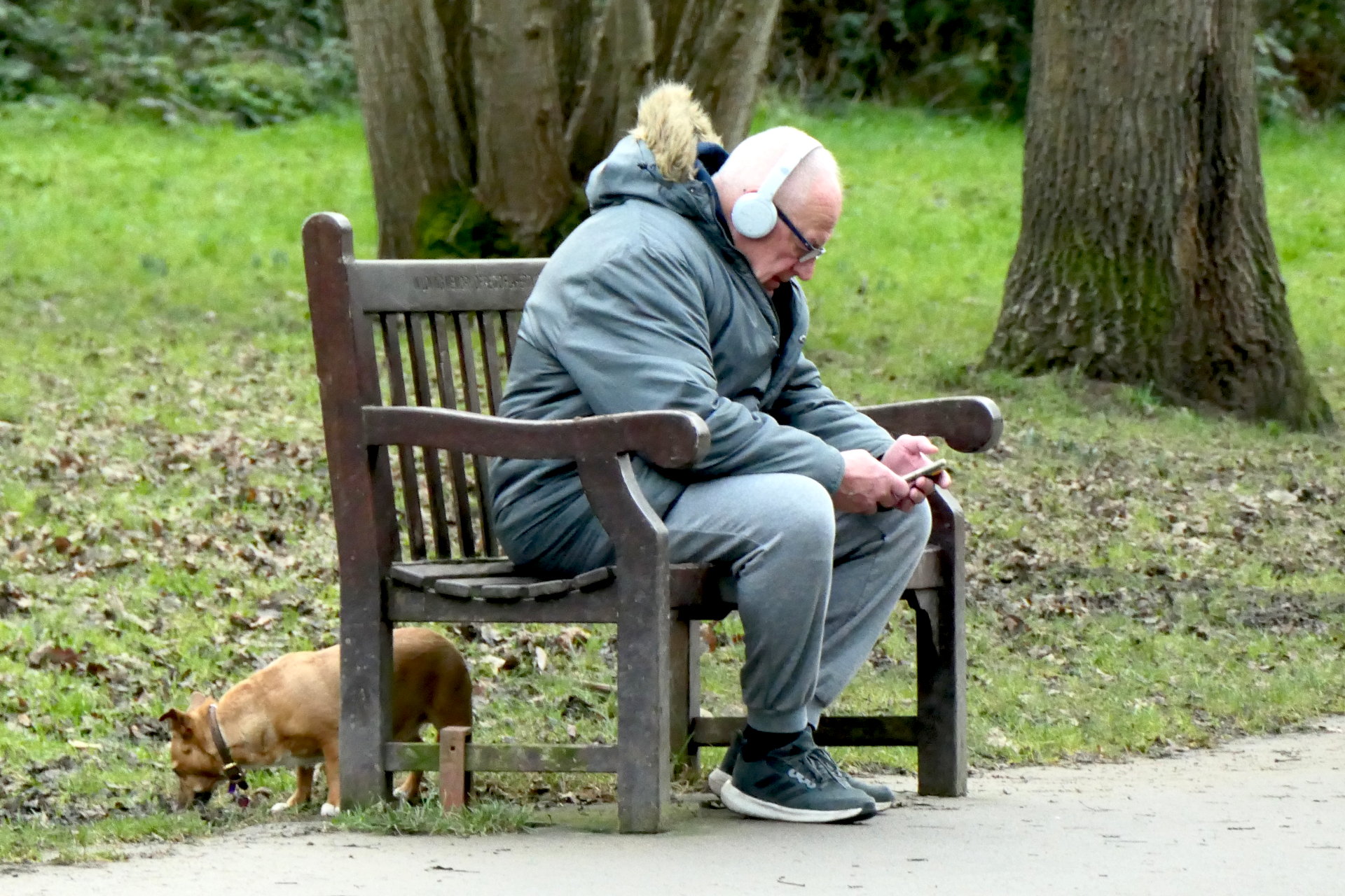 P1045621_edit_crop_scale_85