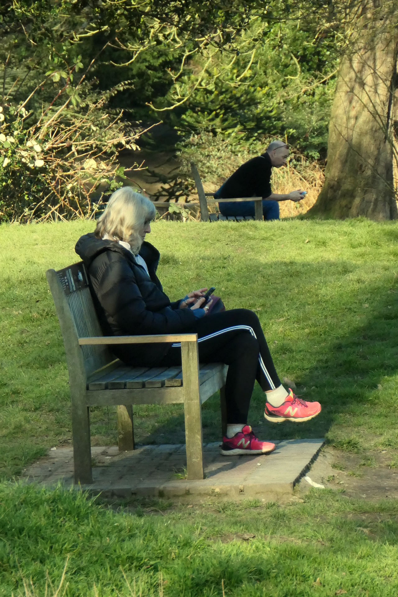 P1045730b_edit_cropvert_scale_79