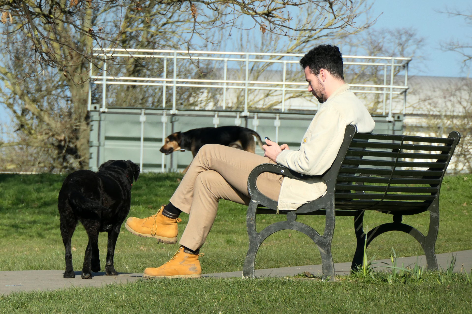 P1055850_edit_crop_scale_82