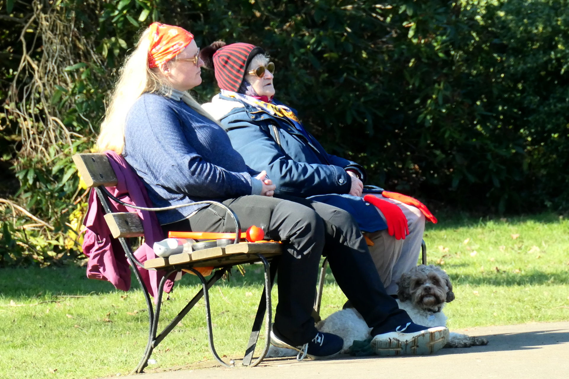 P1055880_edit_crop_scale_85