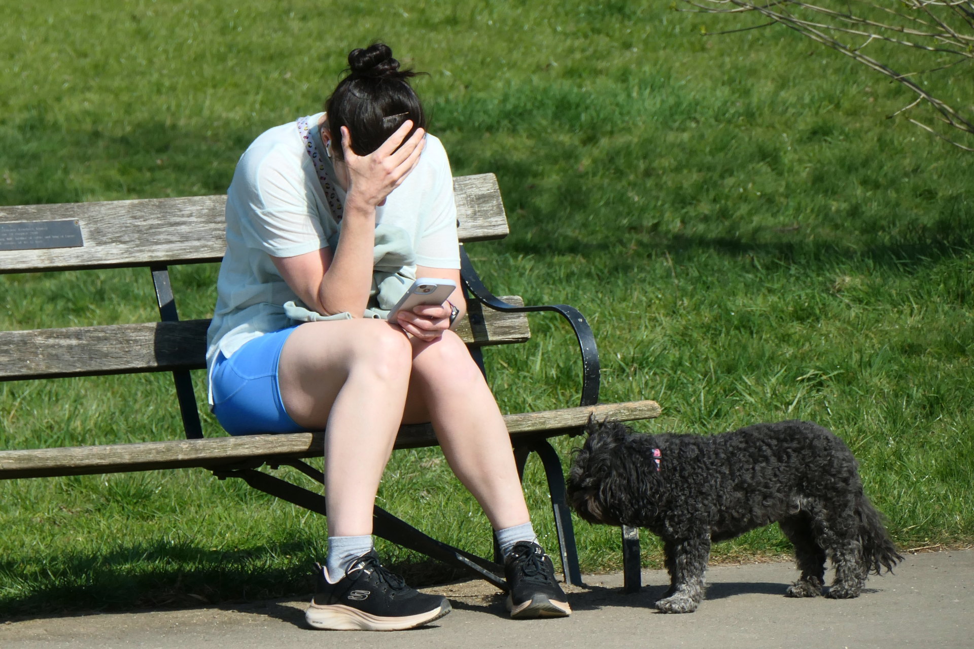 P1056331_edit_crop_scale_86