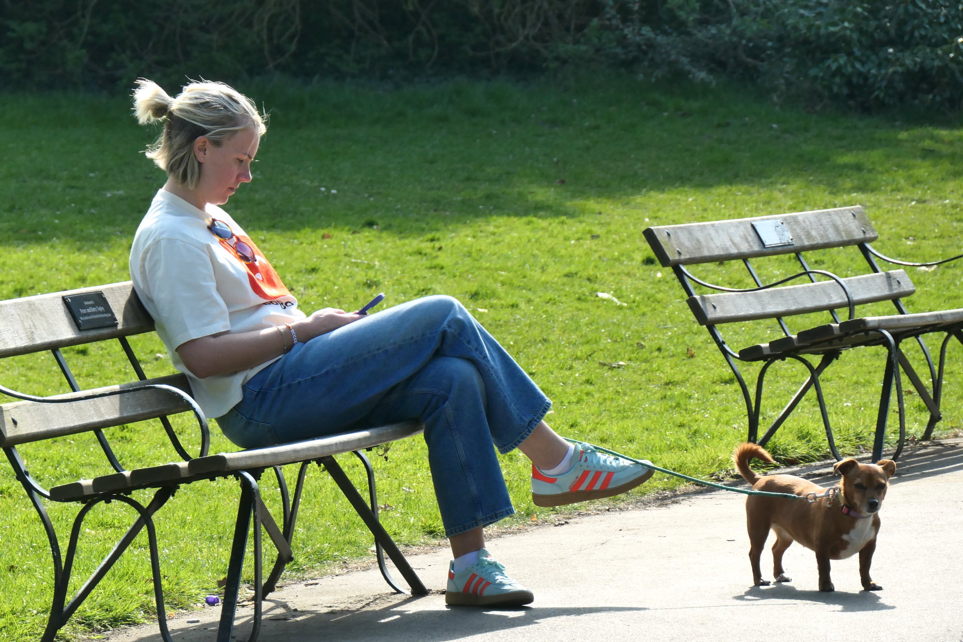 P1056347_edit_crop_scale_85