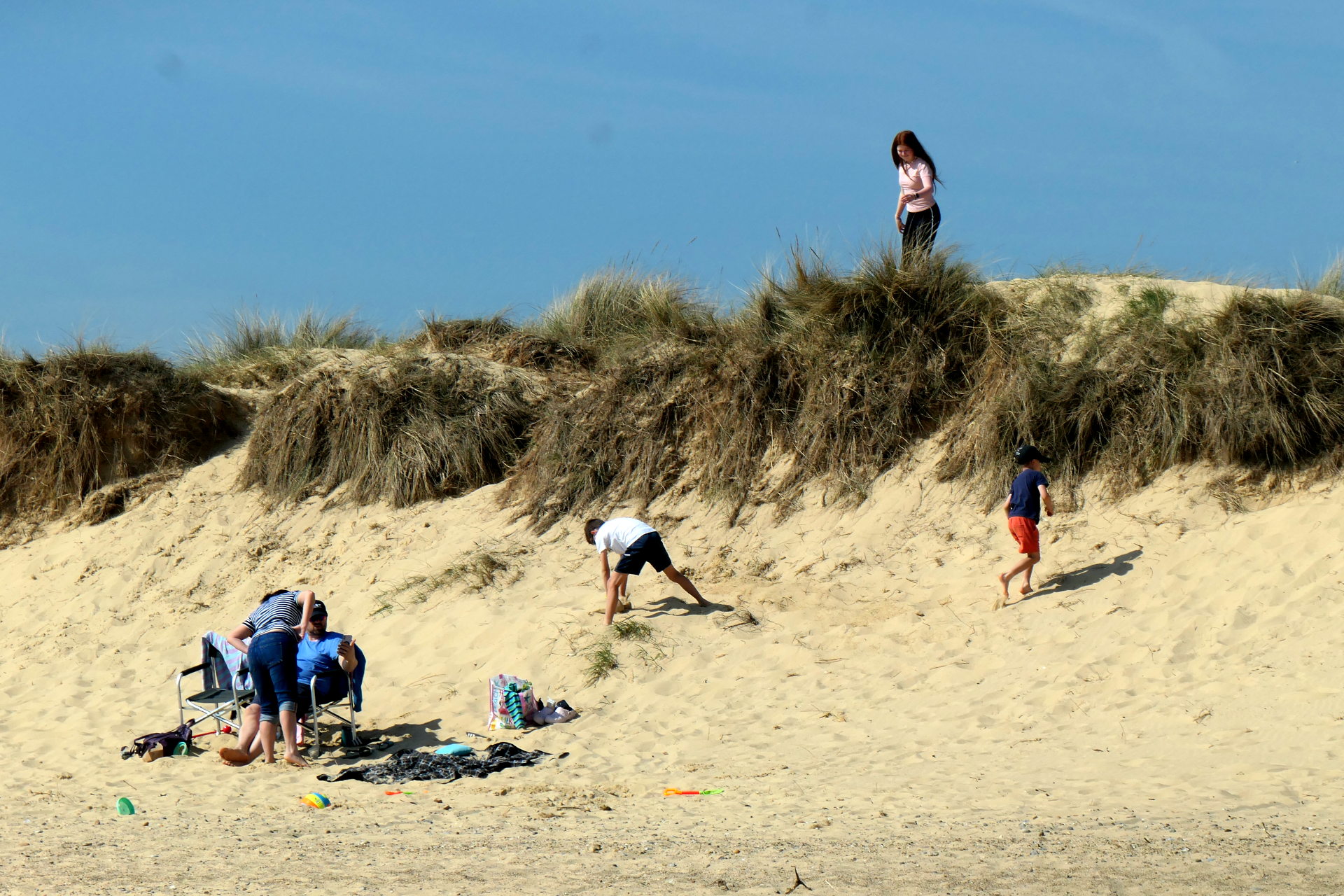 P1056544_edit_crop_scale_83