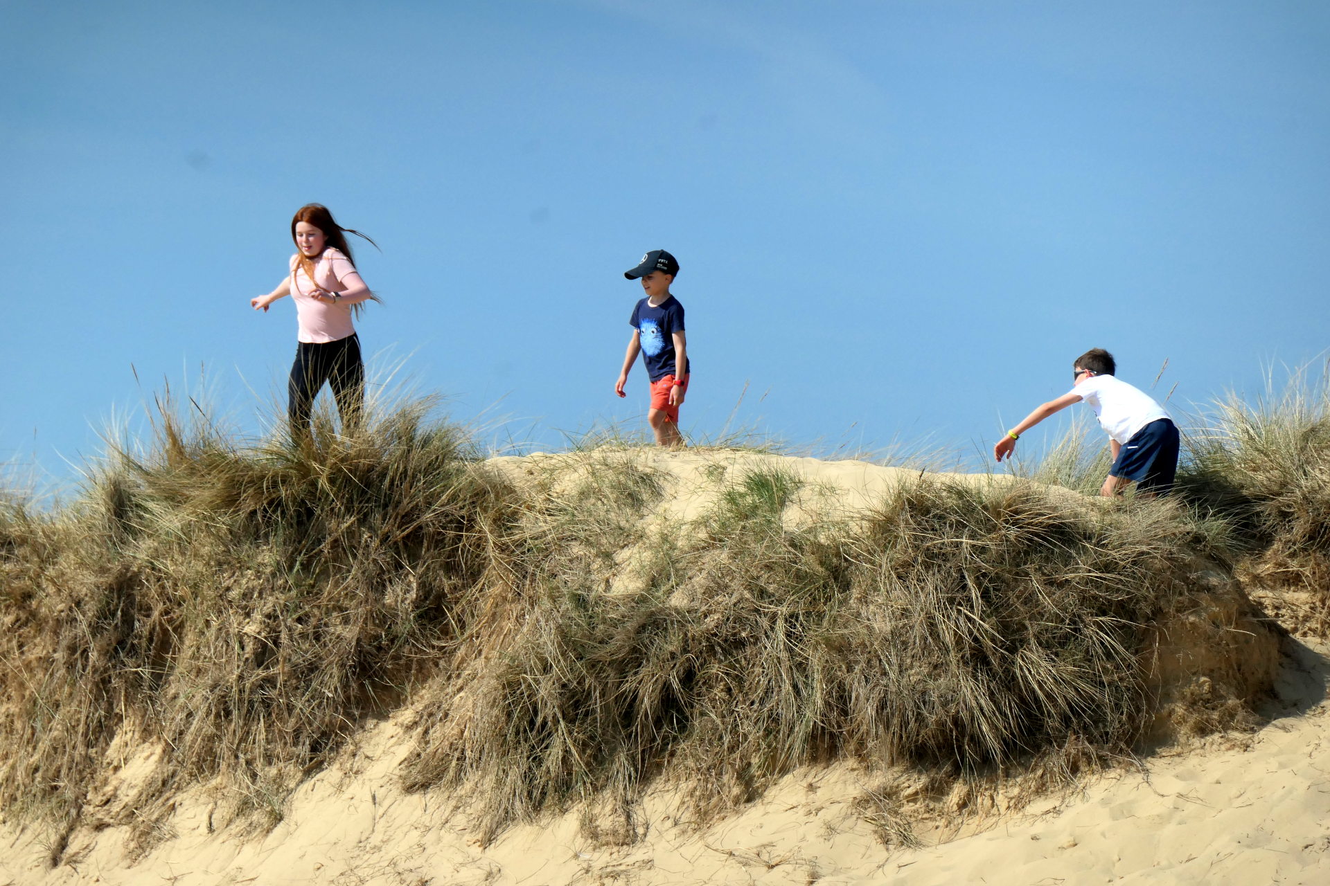 P1056545_edit_scale_83