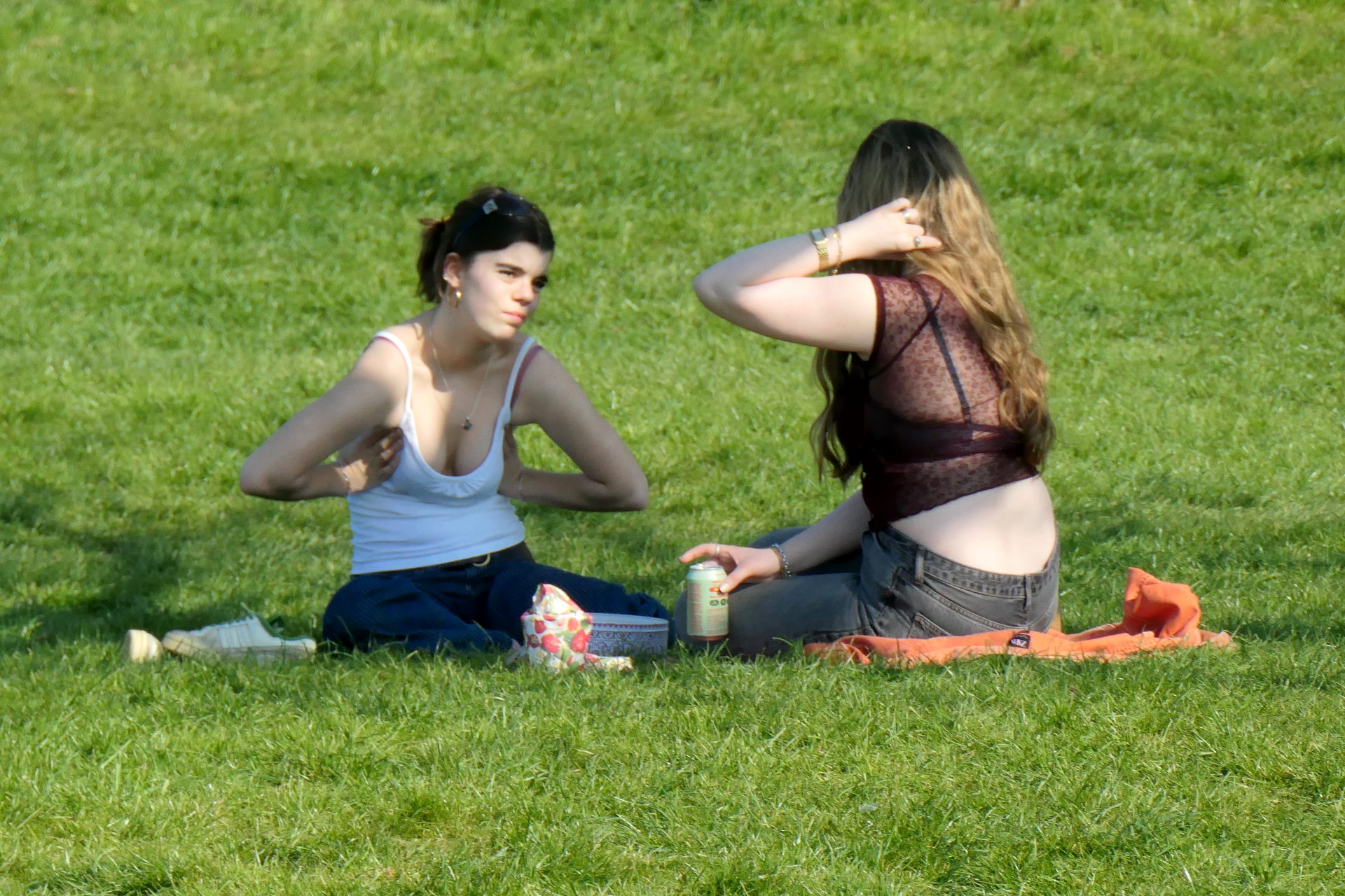 P1056572_edit_crop_scale_82