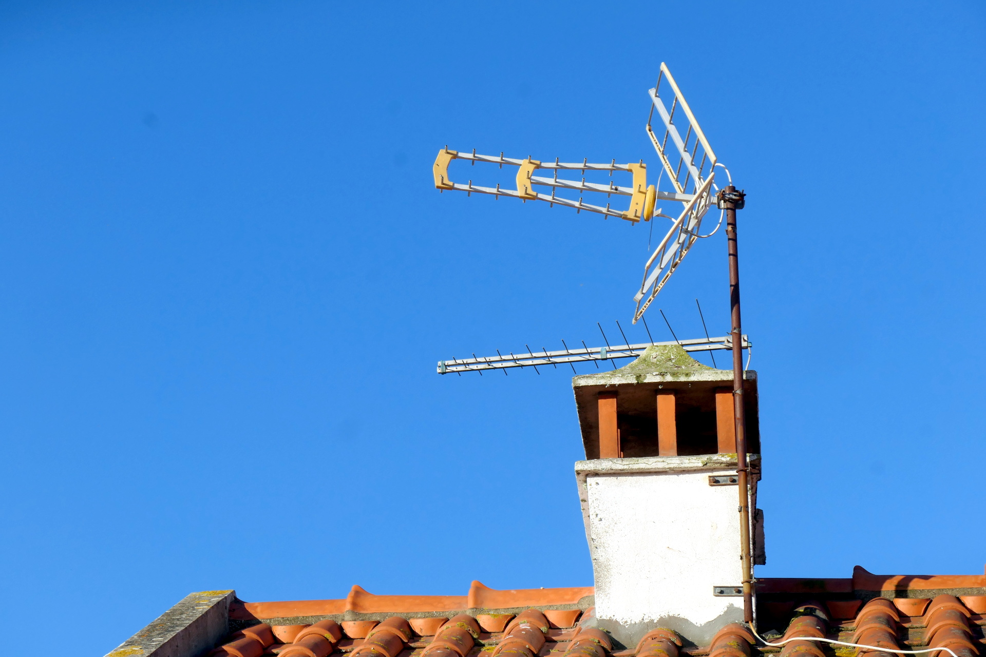 P1056761_edit_scale_95