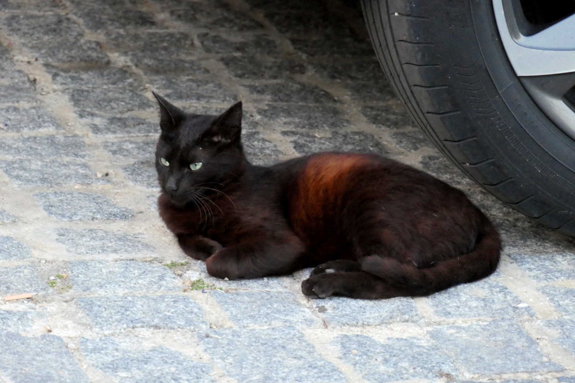 P1066815_edit_scale_91