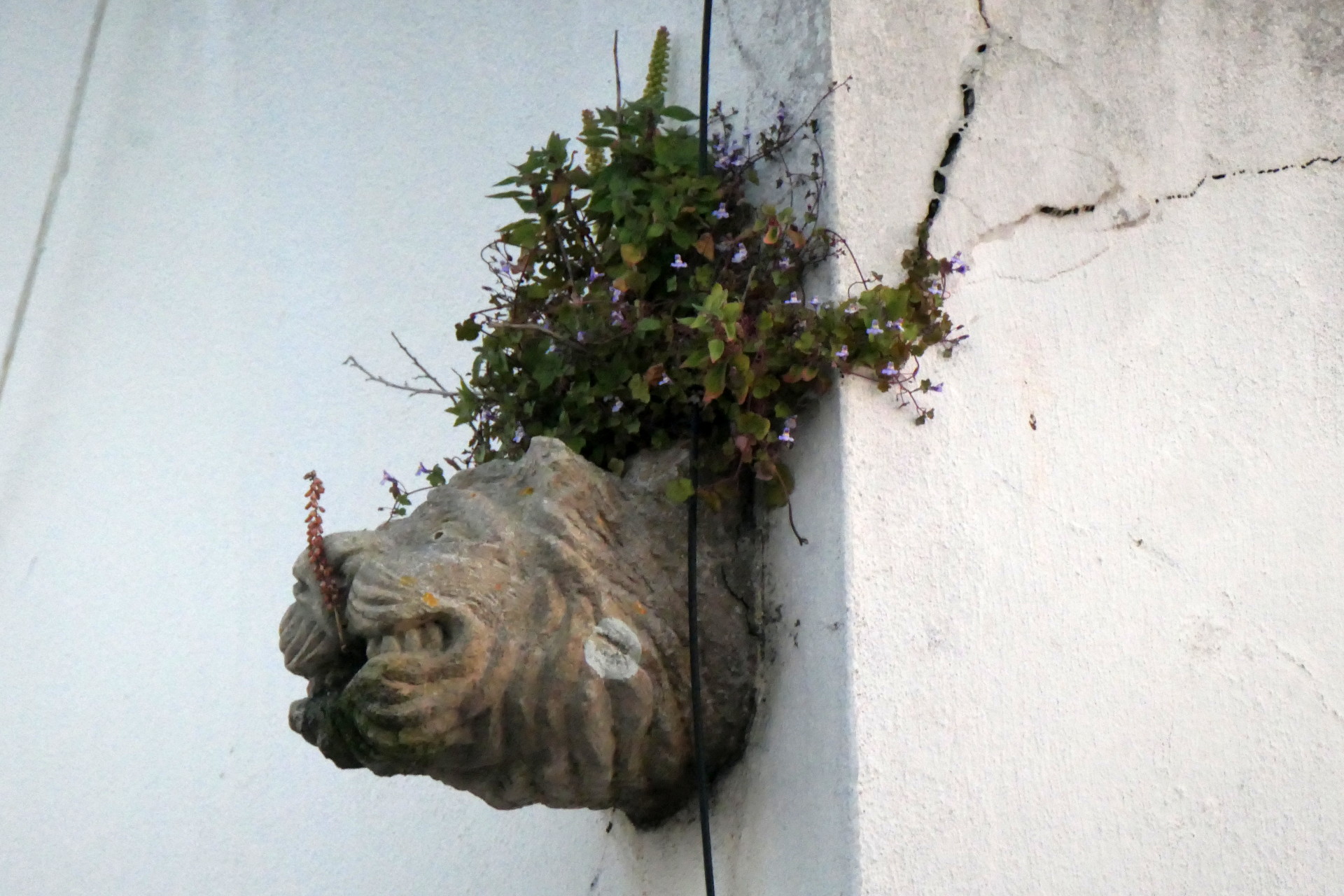 P1066829_edit_crop_scale_90