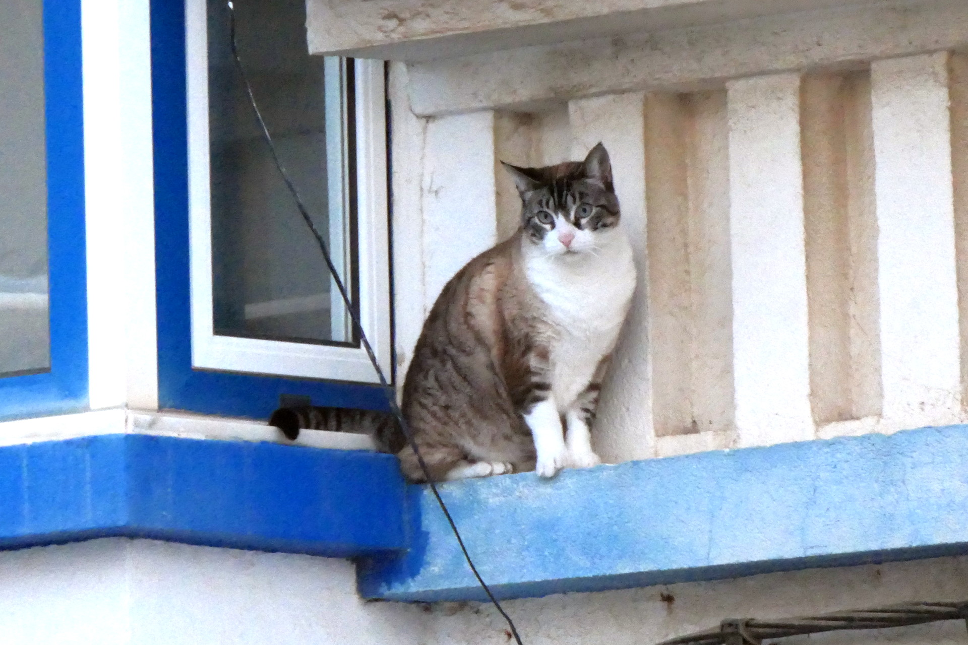 P1066832_edit_crop_scale_90