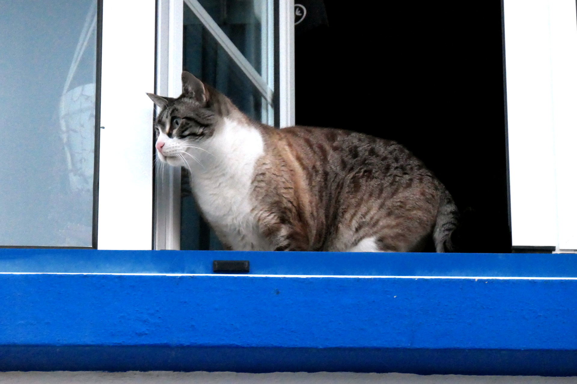 P1066833_edit_crop_scale_94