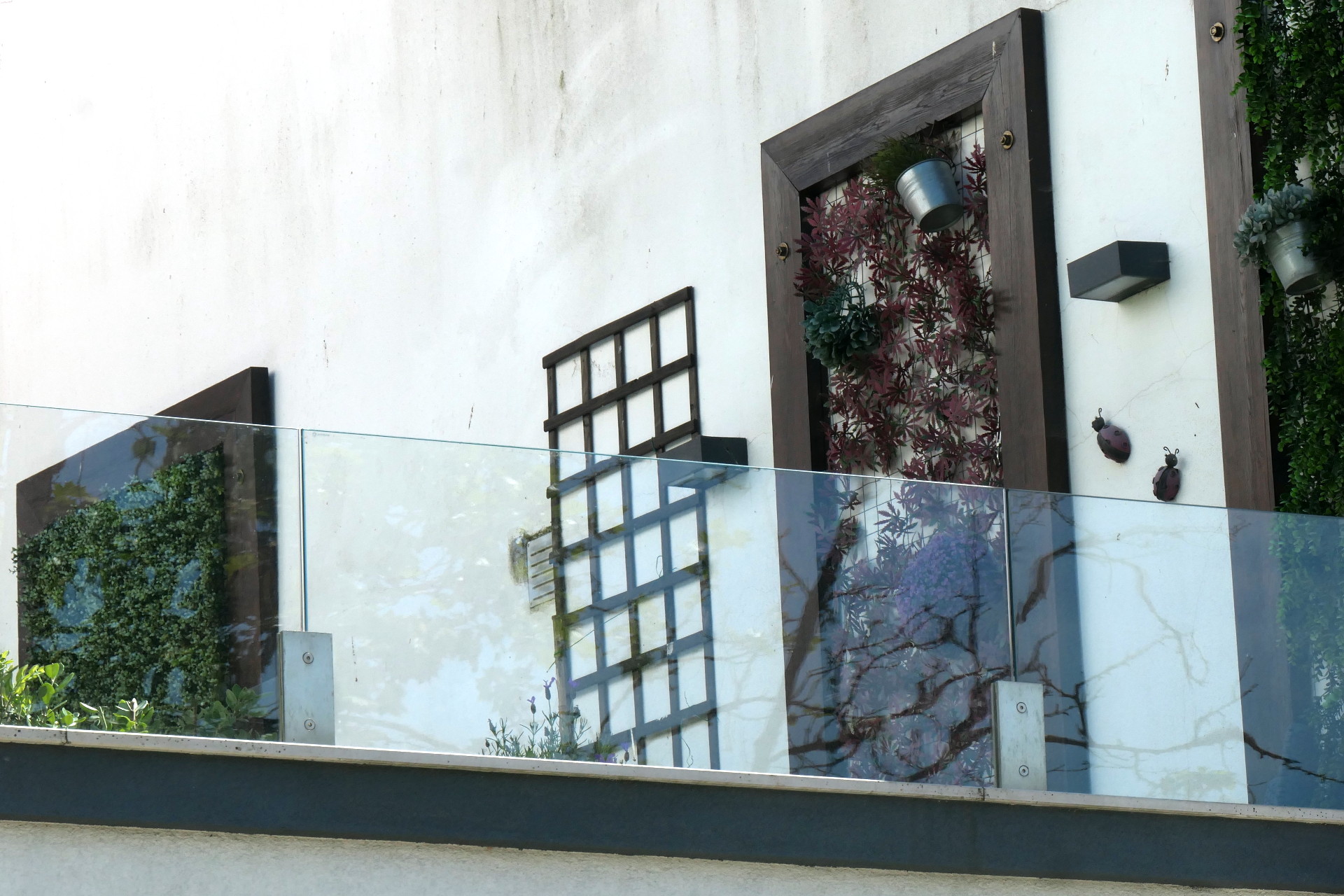 P1066899_edit_crop_scale_90