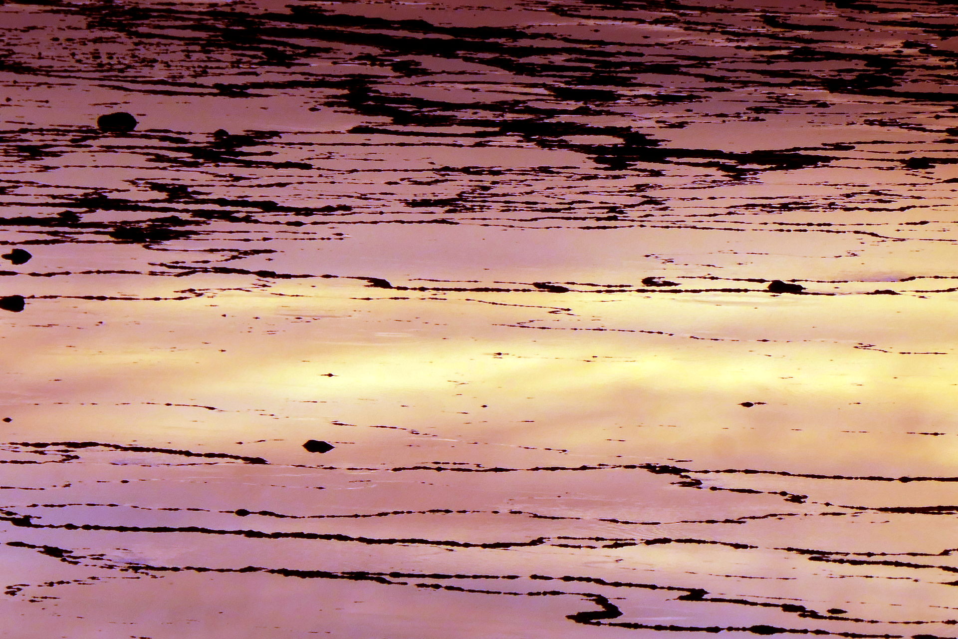 P1066933_edit_scale_81