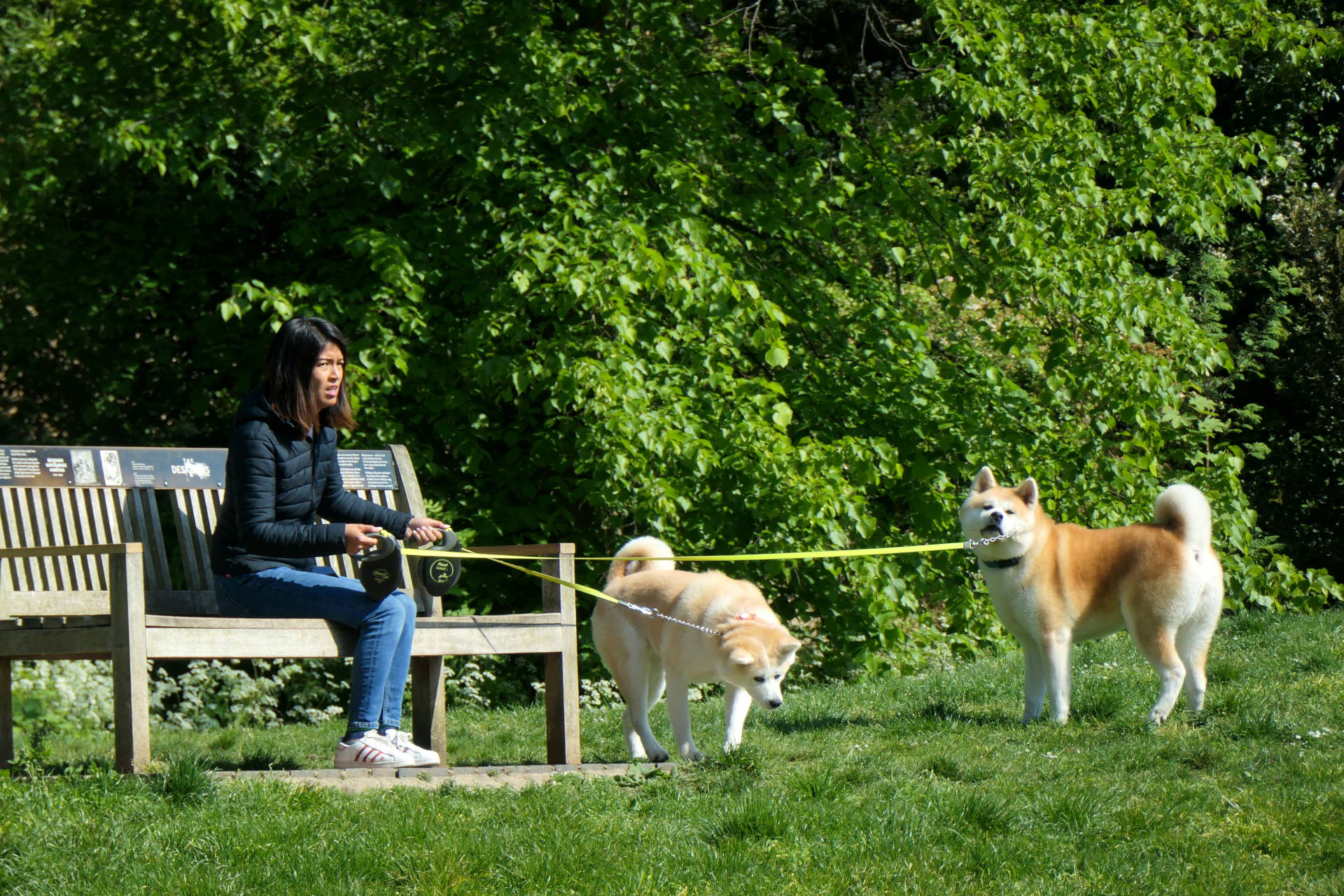 P1067194_edit._scale_70