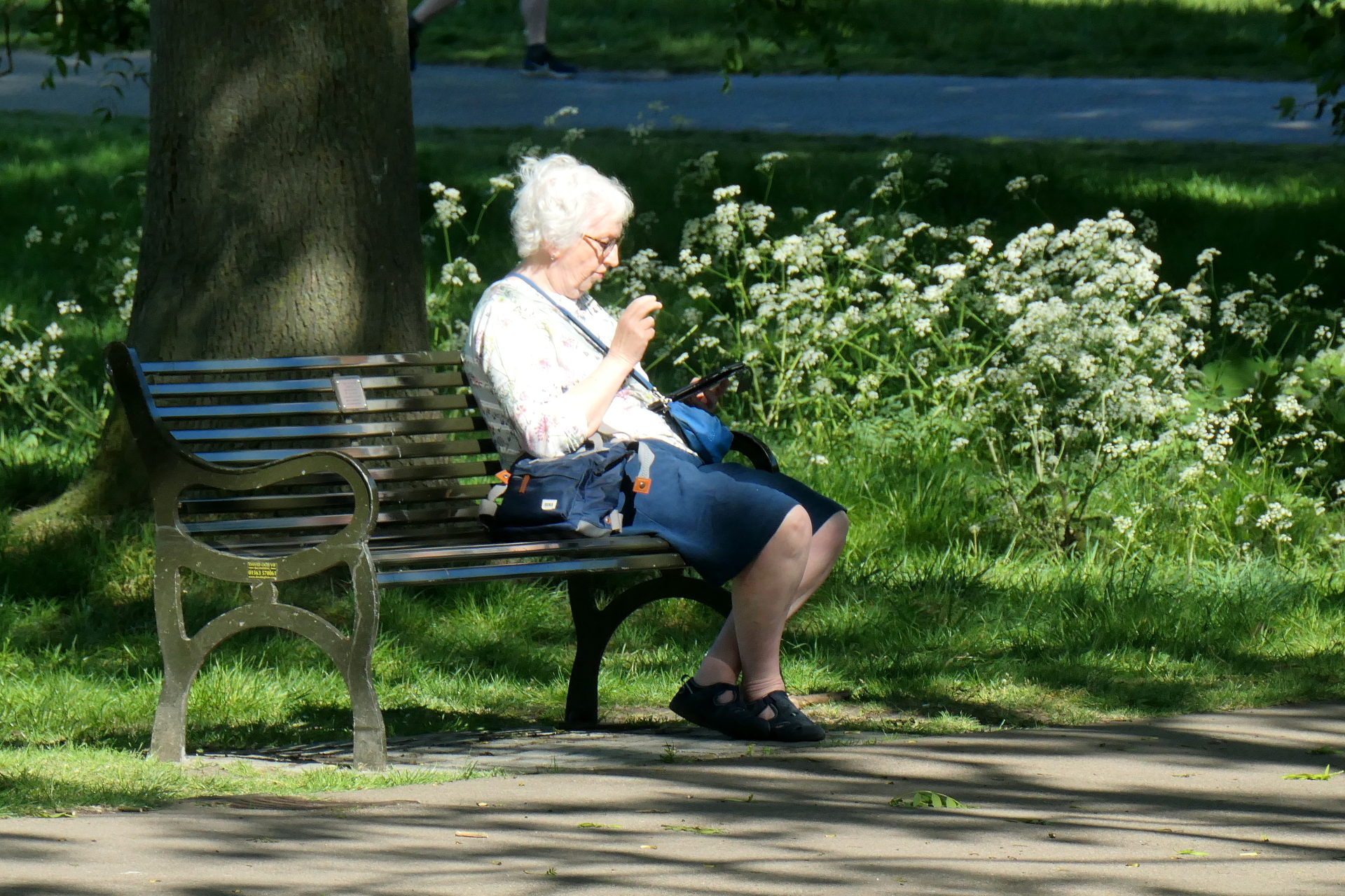 P1067204_edit._crop_scale_82