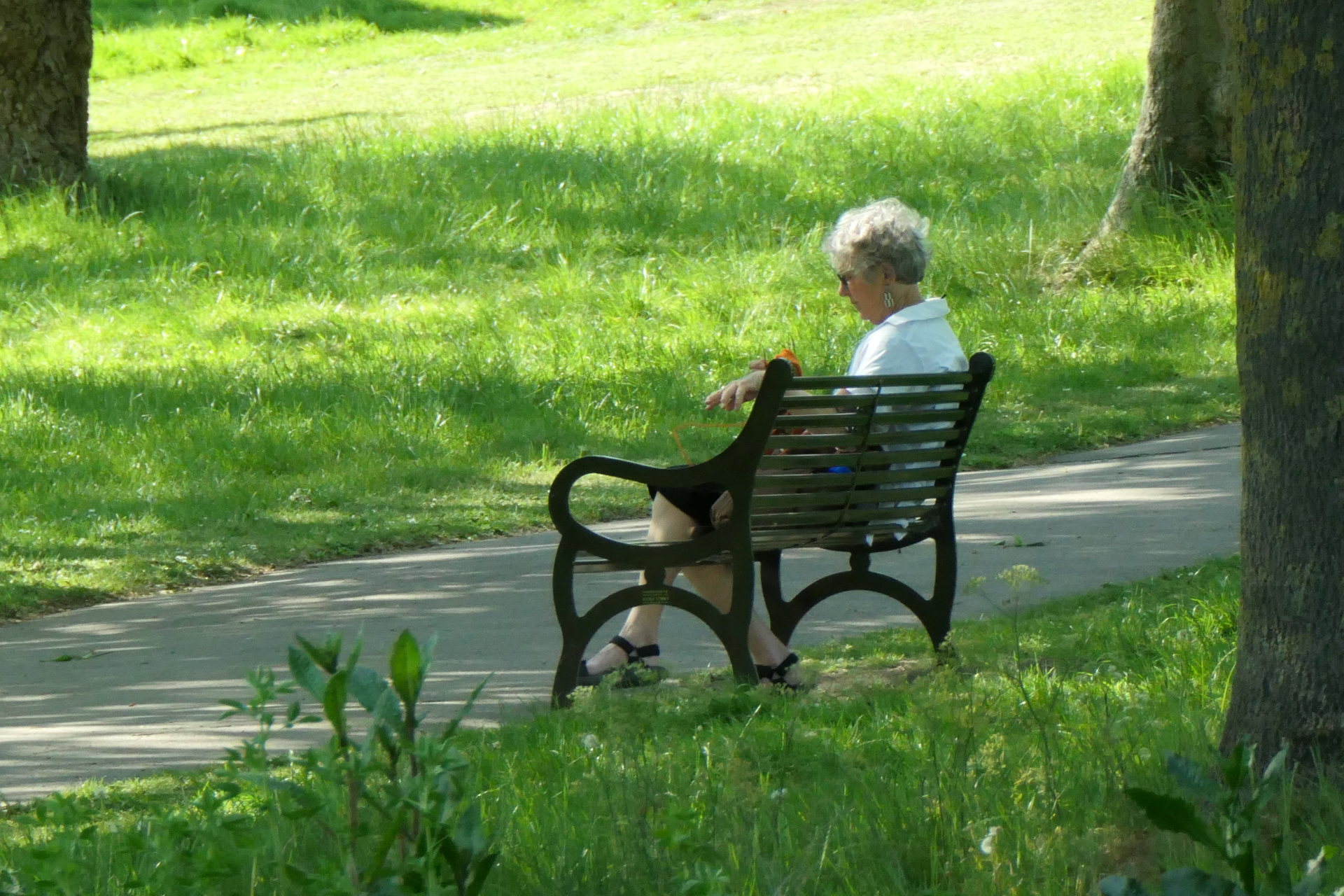 P1067393_edit._crop_scale_84