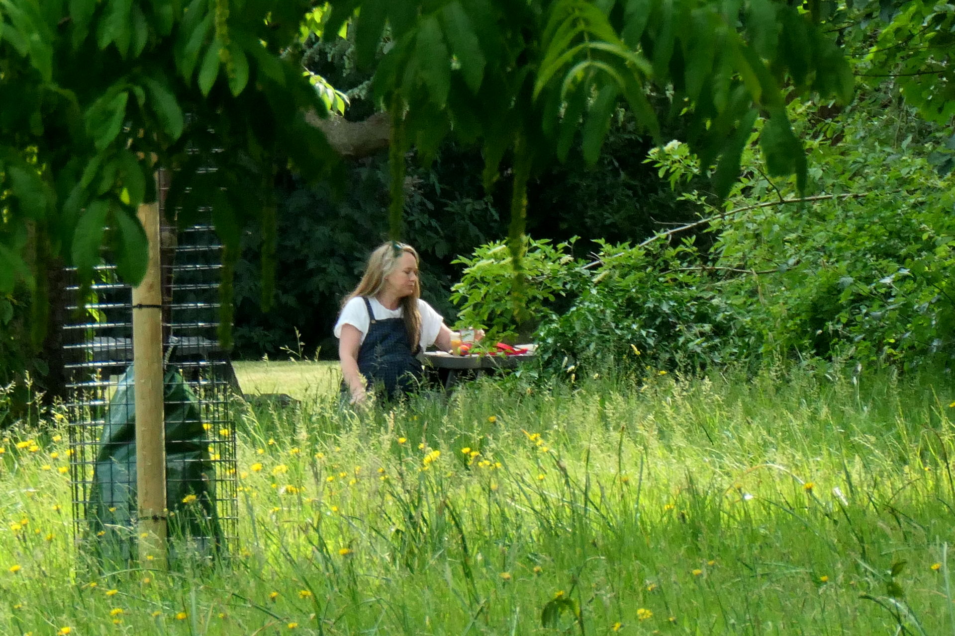 P1067707_edit._crop_scale_80