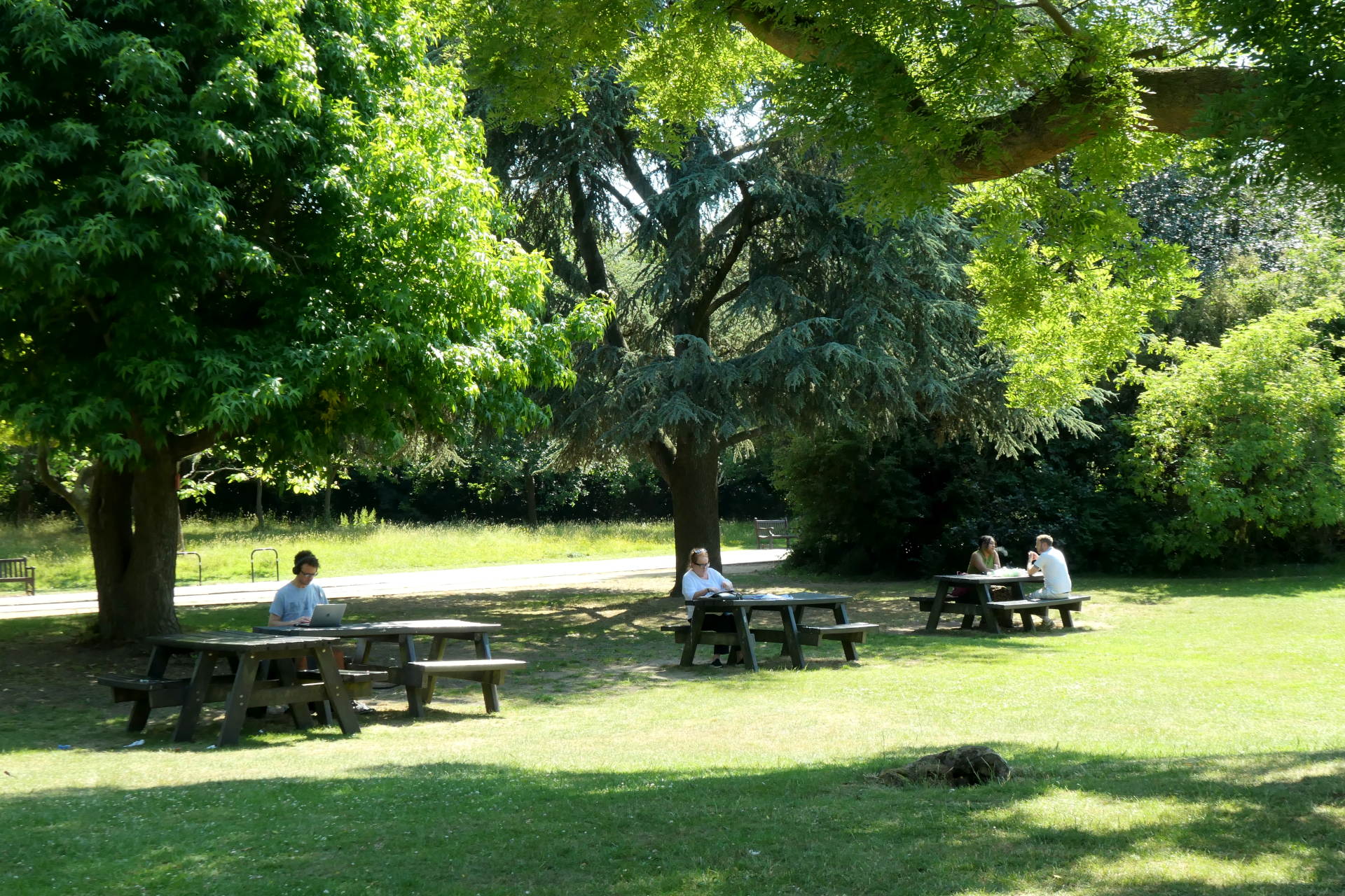 P1067859_edit._crop_scale_69