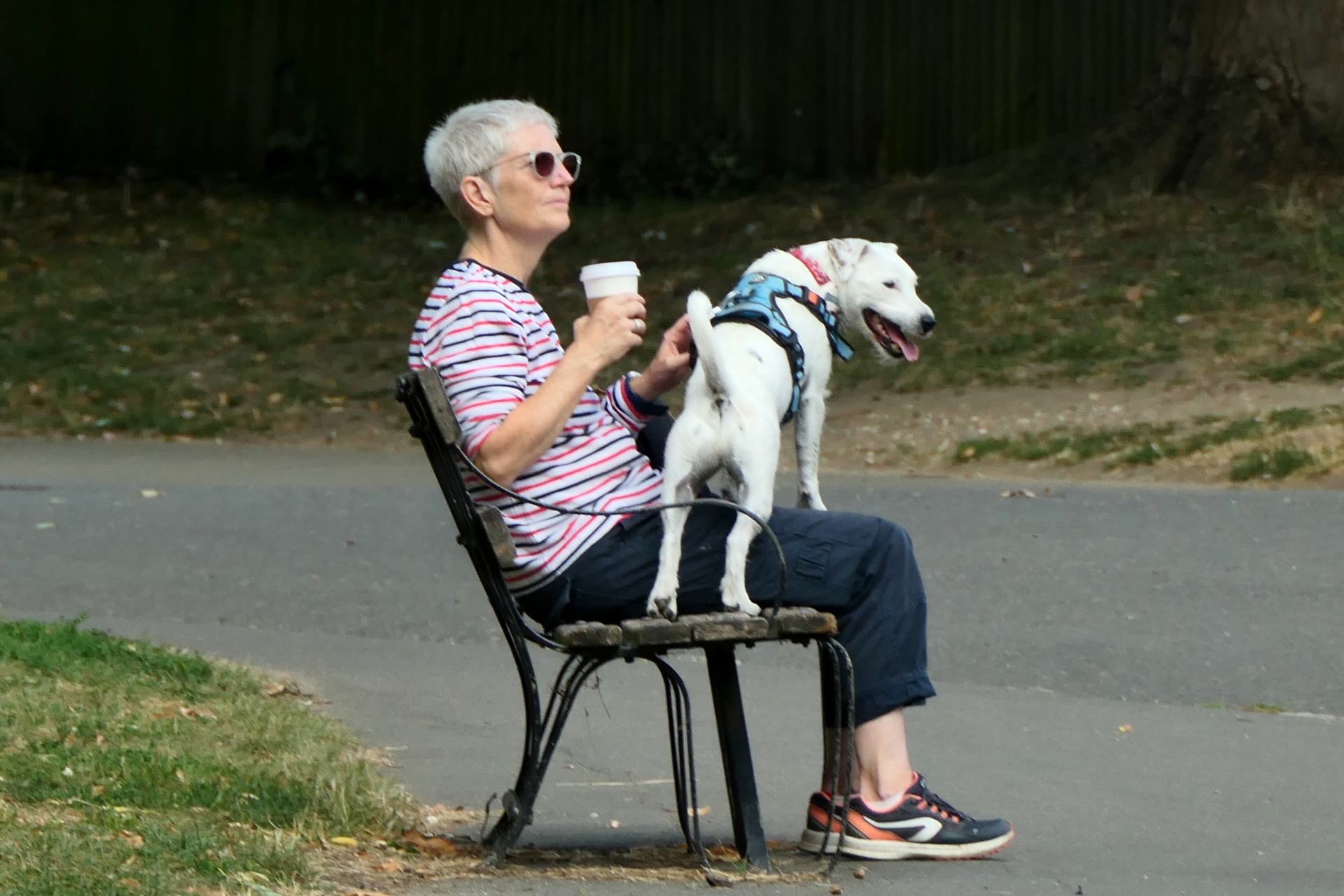 P1078366_edit._scale_92