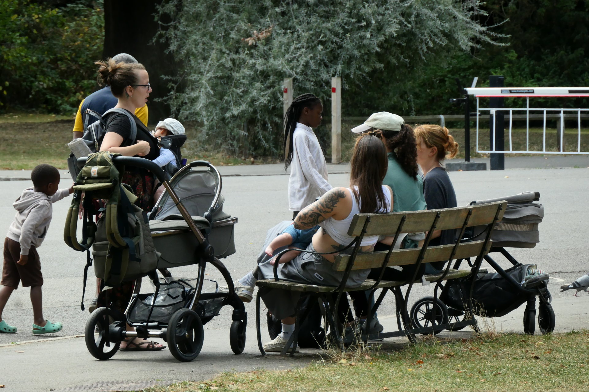 P1078373_edit._scale_84