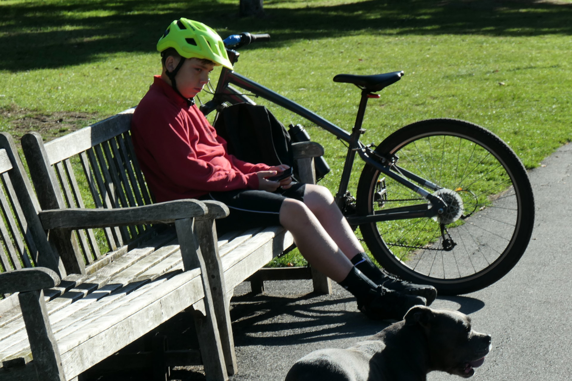 P1078443_edit._crop_scale_86