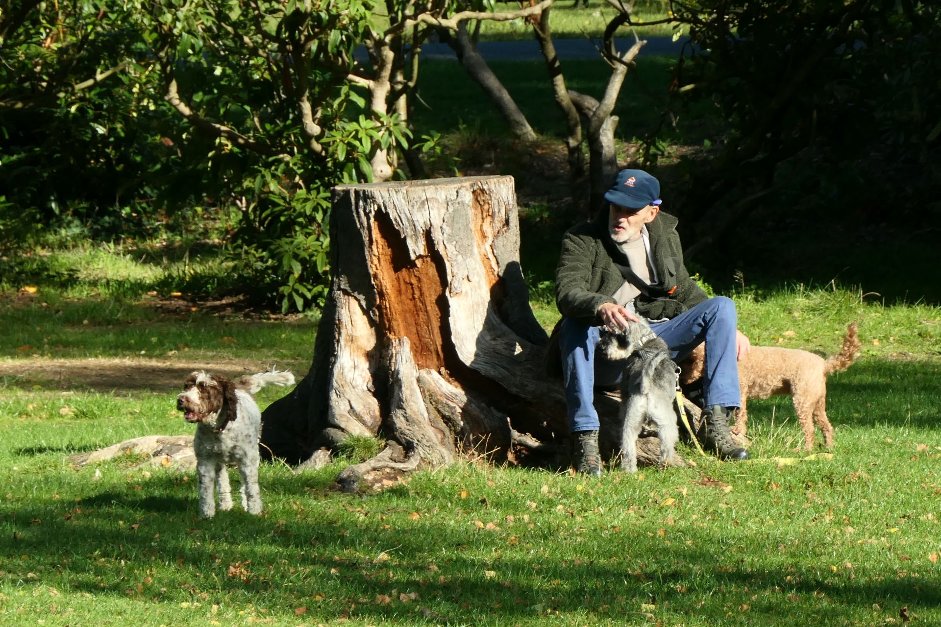 P1078634_edit._crop_scale_78