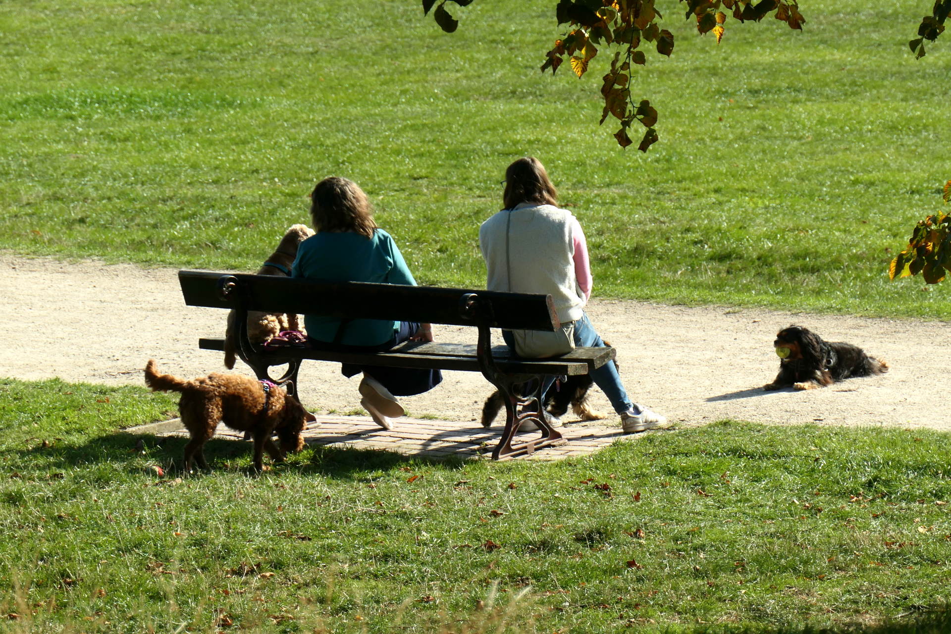 P1078733_edit._crop_scale_67