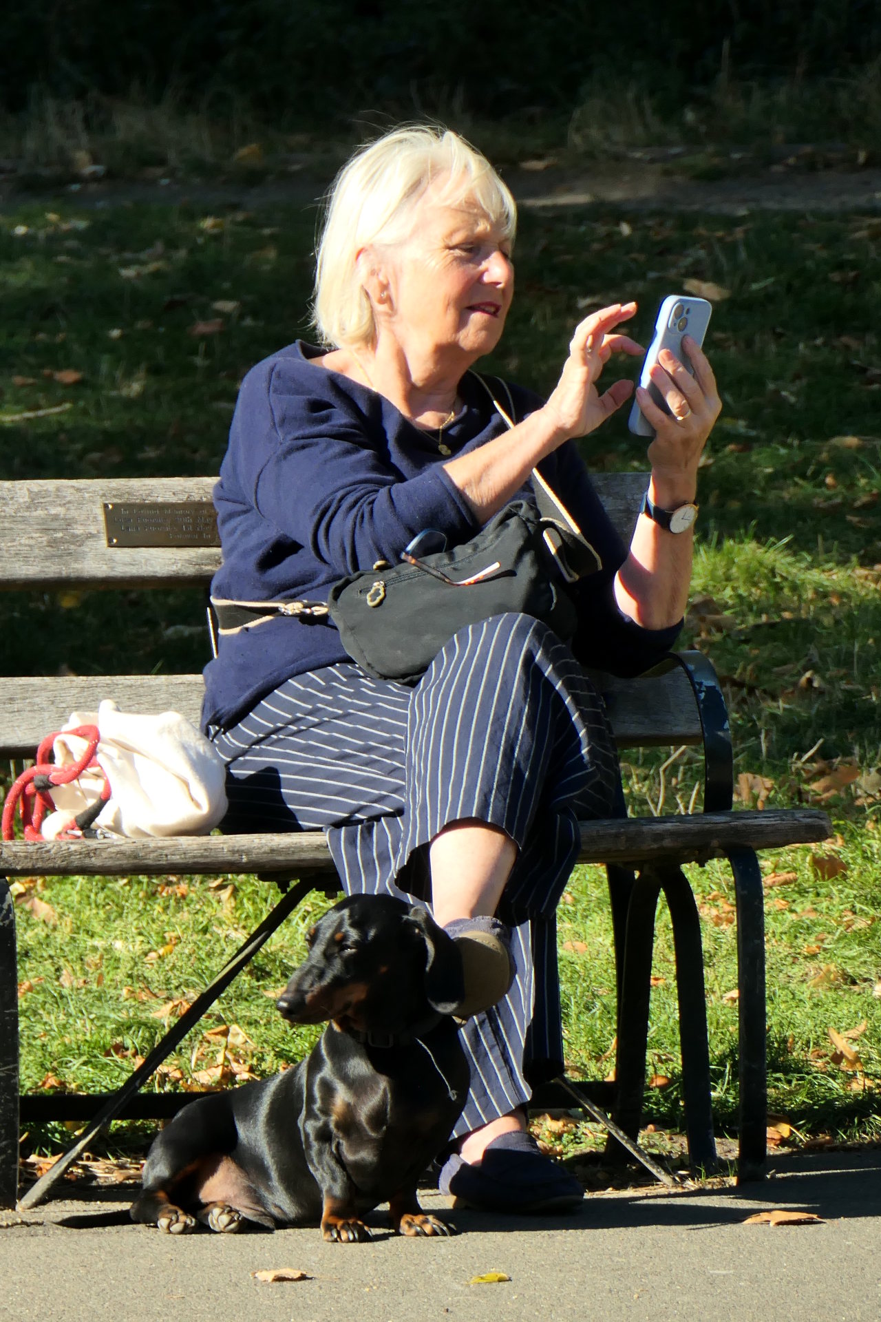 P1078741_edit._crop_scale_84