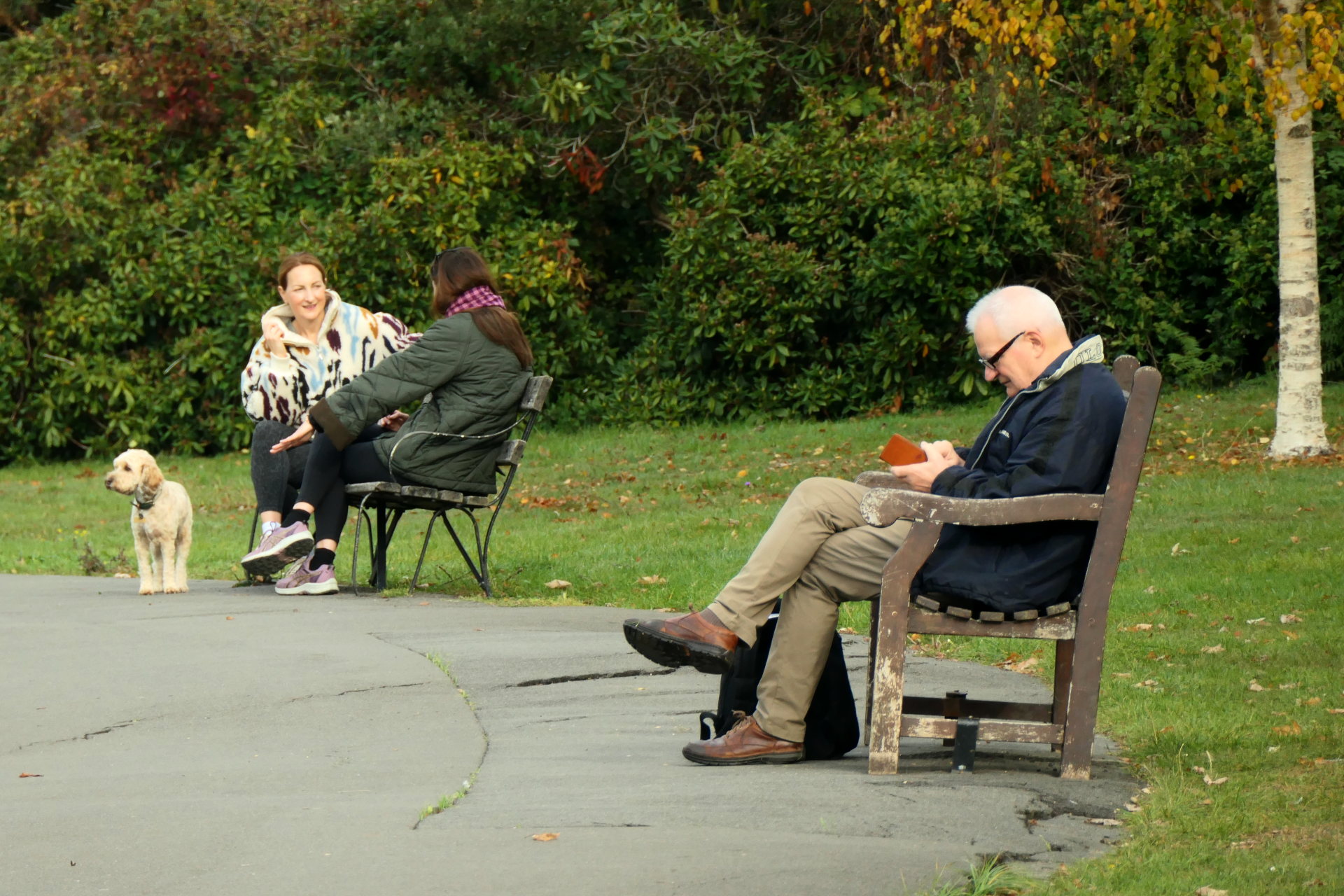 P1078898_edit._crop_scale_84