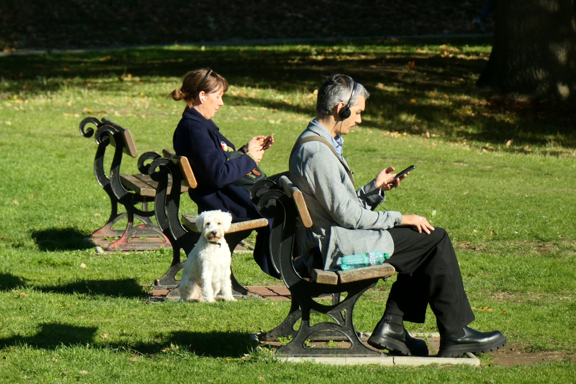 P1078960_edit._crop_scale_84