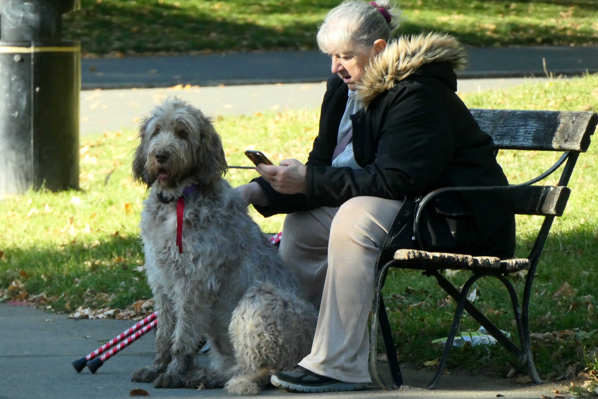 P1078976_edit._crop_scale_91